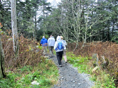 people hiking on appalachian-trail