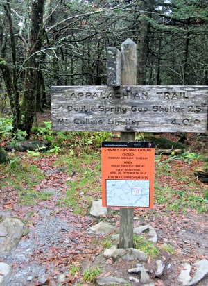 This Appalachian Trail Sign Only Marks A Milestone Of The Long Hike Ahead