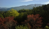 bible-quotes-mountains-and-trees are lovely year around in the Smokies