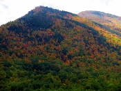 Vacationing in the Smokies means seeing bible-quotes-mountains-close-up