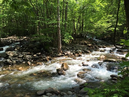 You'll enjoy beautiful Smoky Mountain streams along the way like this Cades Cove Bus Tour Creek.