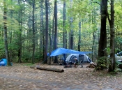 Cataloochee Campers enjoy the beautiful mountains outdoors