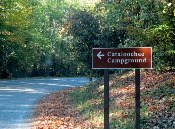 For great camping follow the Cataloochee campground sign