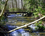 Enjoy an exquisite view from the Cataract Falls Bridge