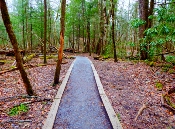 The Cataract Trail is smooth before changing into a dirt path.