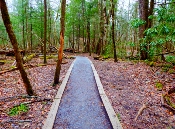 The Cataract Trail is smooth before changing into a dirt path.