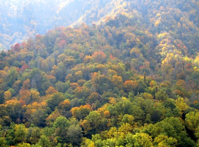 Clingmans Dome fall colors create the splendid colors in God's coloring book!