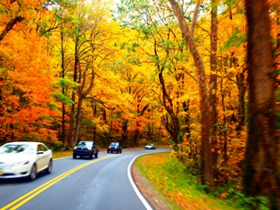 During Fall Festivals roads are decorated in beautiful colorful decor!