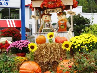 This fall festival stand is just one way to serve you at the 