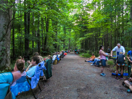 There's going to be quite a firefly audience in the Smokies tonight!