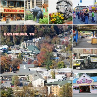 This Gatlinburg Collage shows many of the exciting things to do.