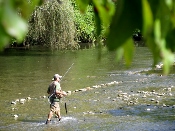 be gone-fishing in the smokies