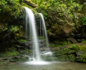 Grotto Falls is one of the most lovely falls in the Smoky Mountains