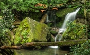 Many areas around Grotto Falls are slippery so be careful!