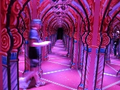 Hannah's Mirror Maze is filled with color and intrique!