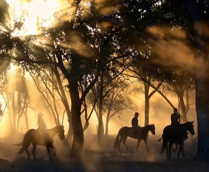 A beautiful ride through the mountainous wooded area of Pigeon Forge is relaxing at Five Oaks Riding Stables