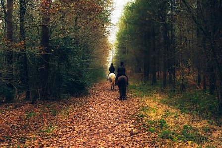 Enjoy horseback riding at Deer Farm Stables before visiting their petting zoo.