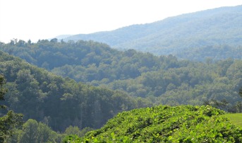 beautiful mt-leConte area