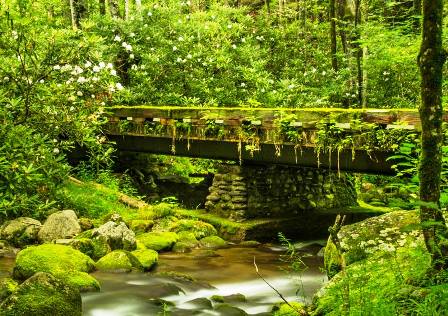 This beautiful National Register Stream is located in Gatlinburg's Roaring Fork!