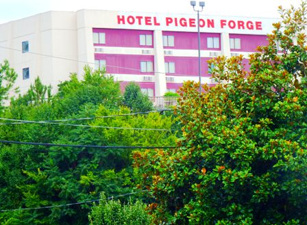 At Pigeon Forge Hotels Hotel Pigeon Forge sits cozily on the hill.