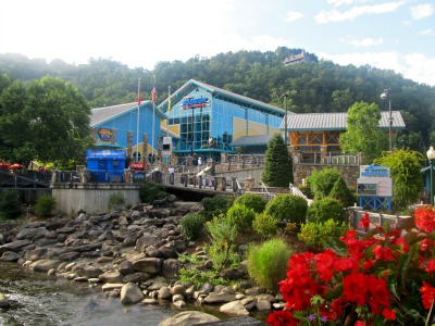 The Ripley's Aquarium Front Entrance is graced with decorative landscape and interesting facts.