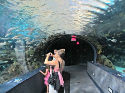 Ripley's Aquarium Overhead Tank Will Make You Feel As Though Your Swimming With The Fish!