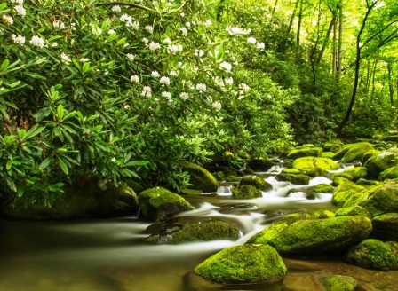 This Roaring Fork stream is how this motor trail got its name.