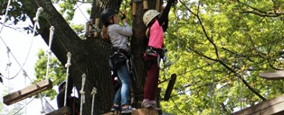 Climb to the top of the world with Sevierville Attractions Tree Tops Ropes Course