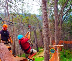 Anakeesta Ziplines are quite a challenge and lots of fun!