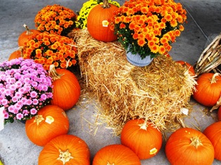 There's plenty of pumpkin goodies made with fall festival pumpkins