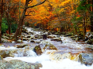 During fall festivals water is served along with delicious autumn foods and beverages.
