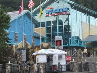 It's Gatlinburg Attractions Aquarium that draws the big crowds!