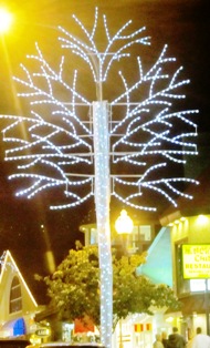 These lovely lighted trees are an intricate part of Gatlinburg Winter Magic Trolley of Lights Tour!