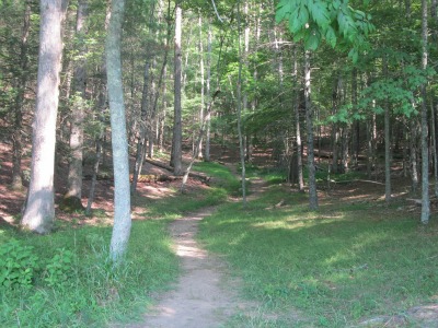 Hundreds of hiking trails in the Great Smoky Mountains are sometimes a challenge.