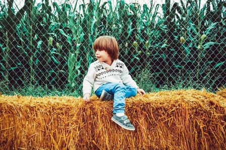 Experience Hay Ride fun at any age!