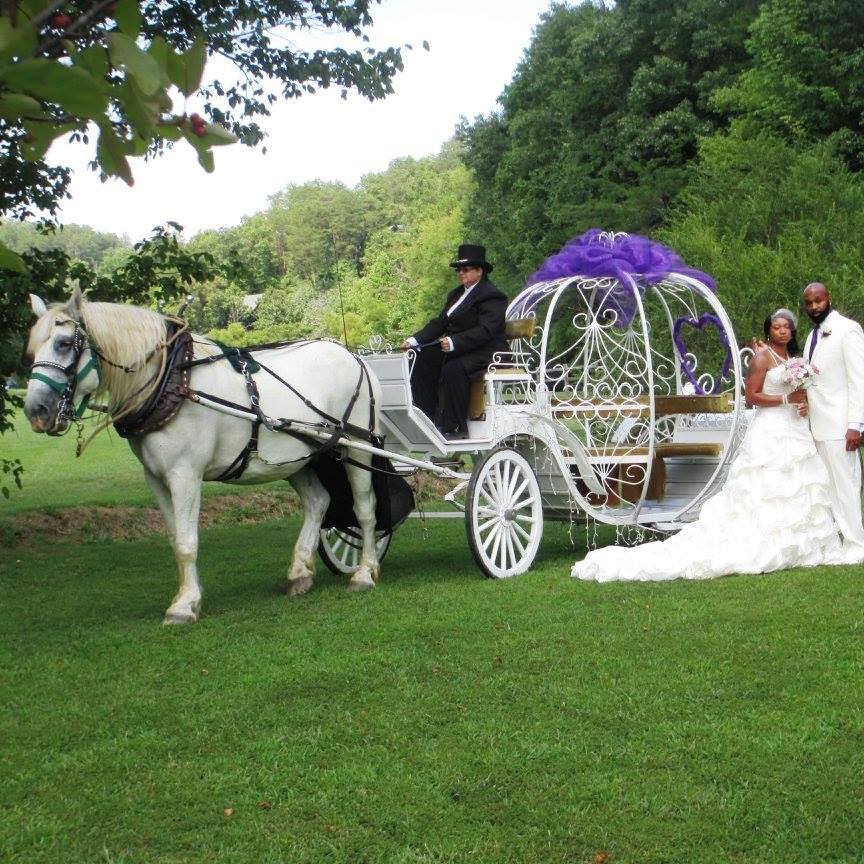 This Heritage Carriage Rides Couple Are Experiencing a Cinderella Wedding!