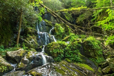 These beautiful falls are known as Roaring Fork 100 Drips.