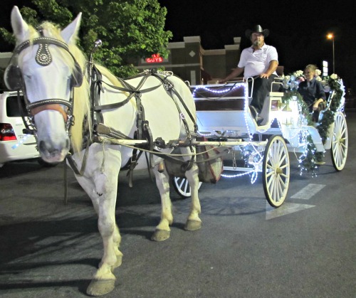 carriage for smoky-mountain-wedding
