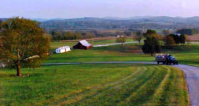 You'll see lots of beauty and wildlife when you go on a hayride in the Smokies.